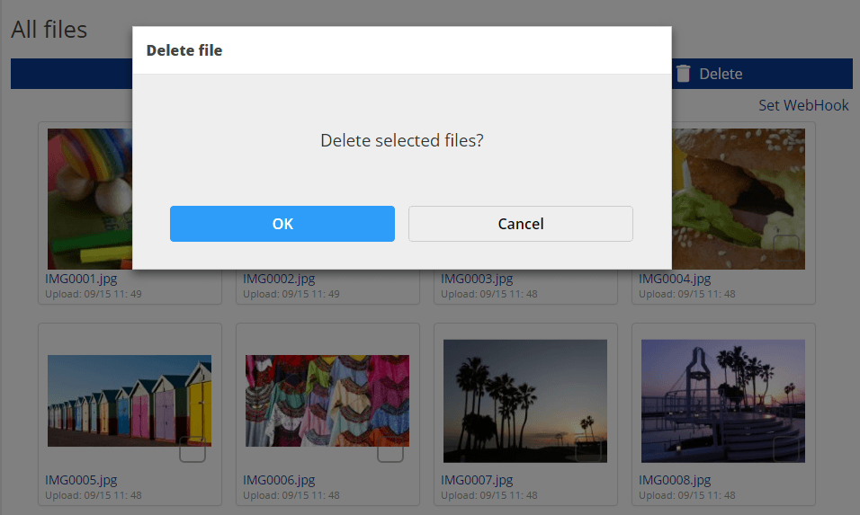 Delete file dialog